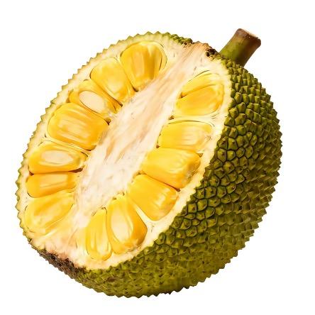 爱吃菠萝蜜怎么你了