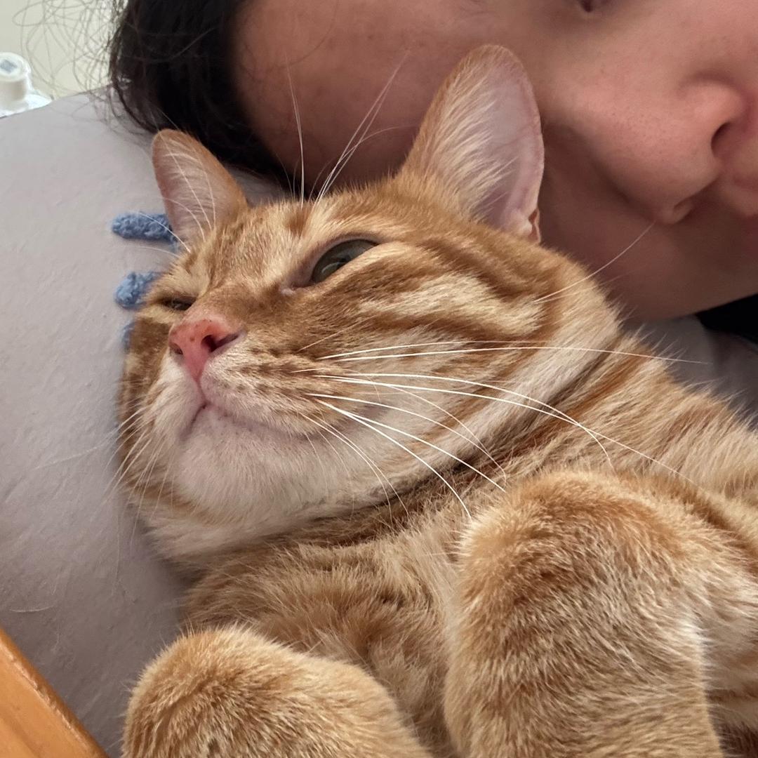 橘桑和她的朋友们