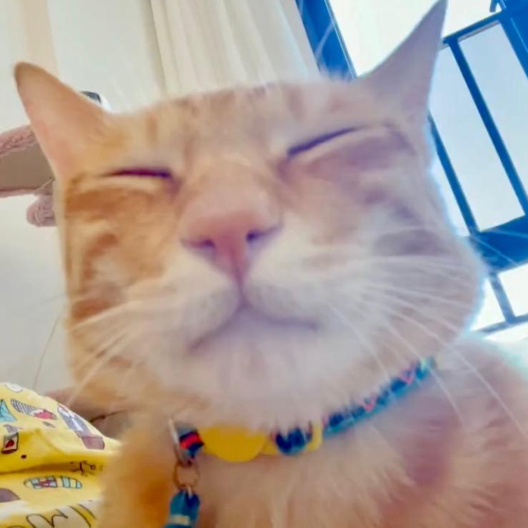 小孟（赛事剪辑）