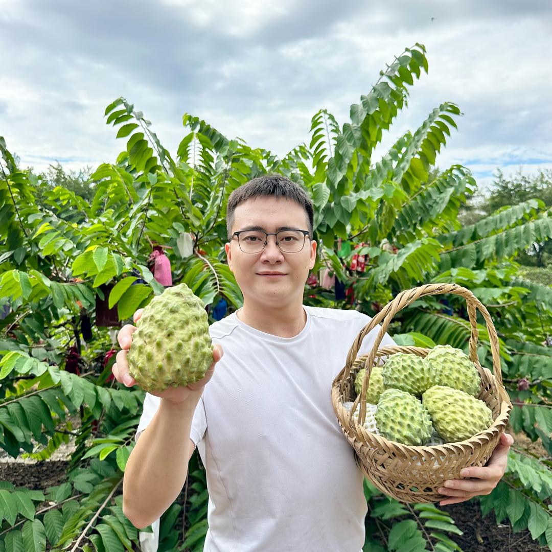 阿顺农特产（牛奶凤梨释迦果热卖中）