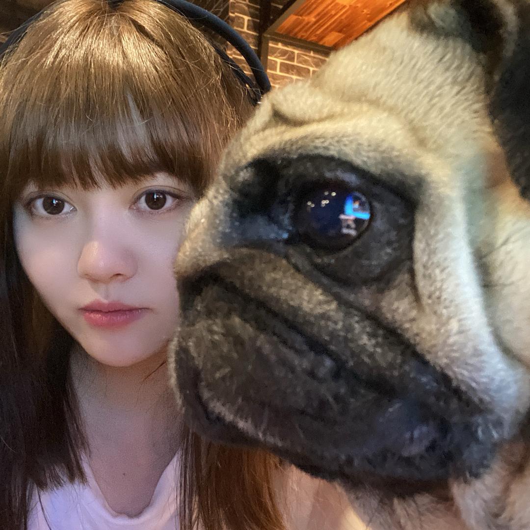王八豆是只小巴哥♡