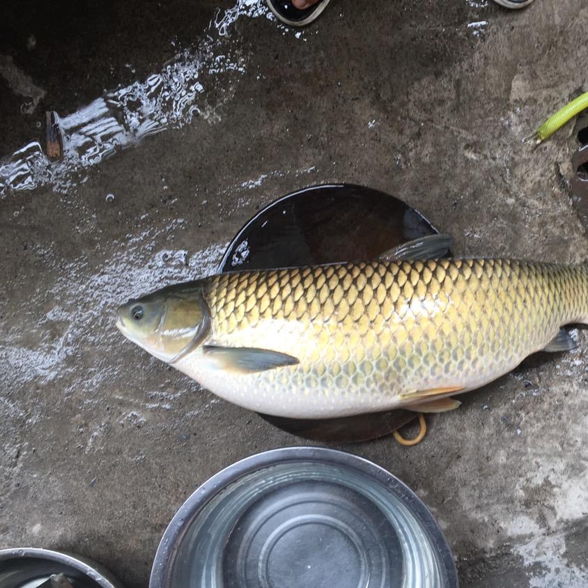 桂林接发邓鹏，羽毛接发工厂店