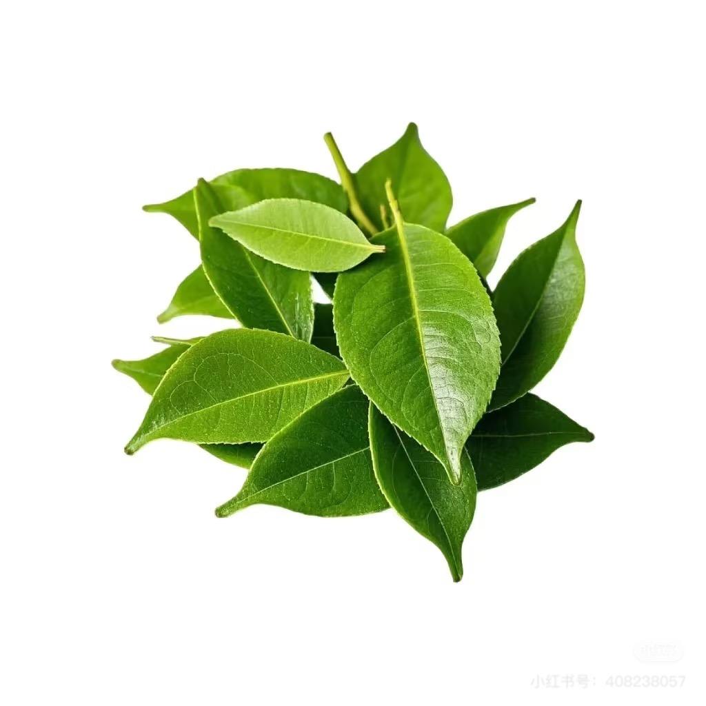-每天都好困^