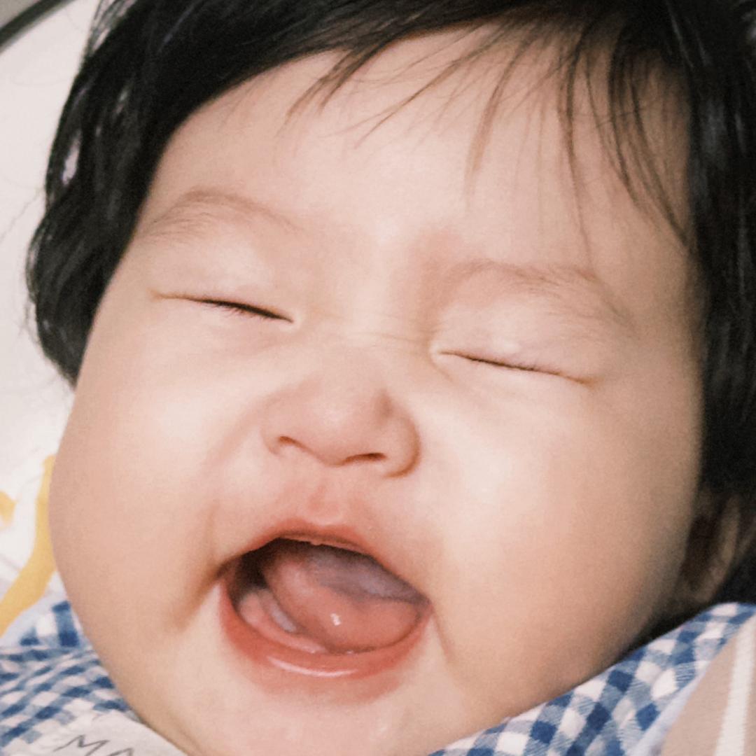 舟舟日记本（9月龄版）