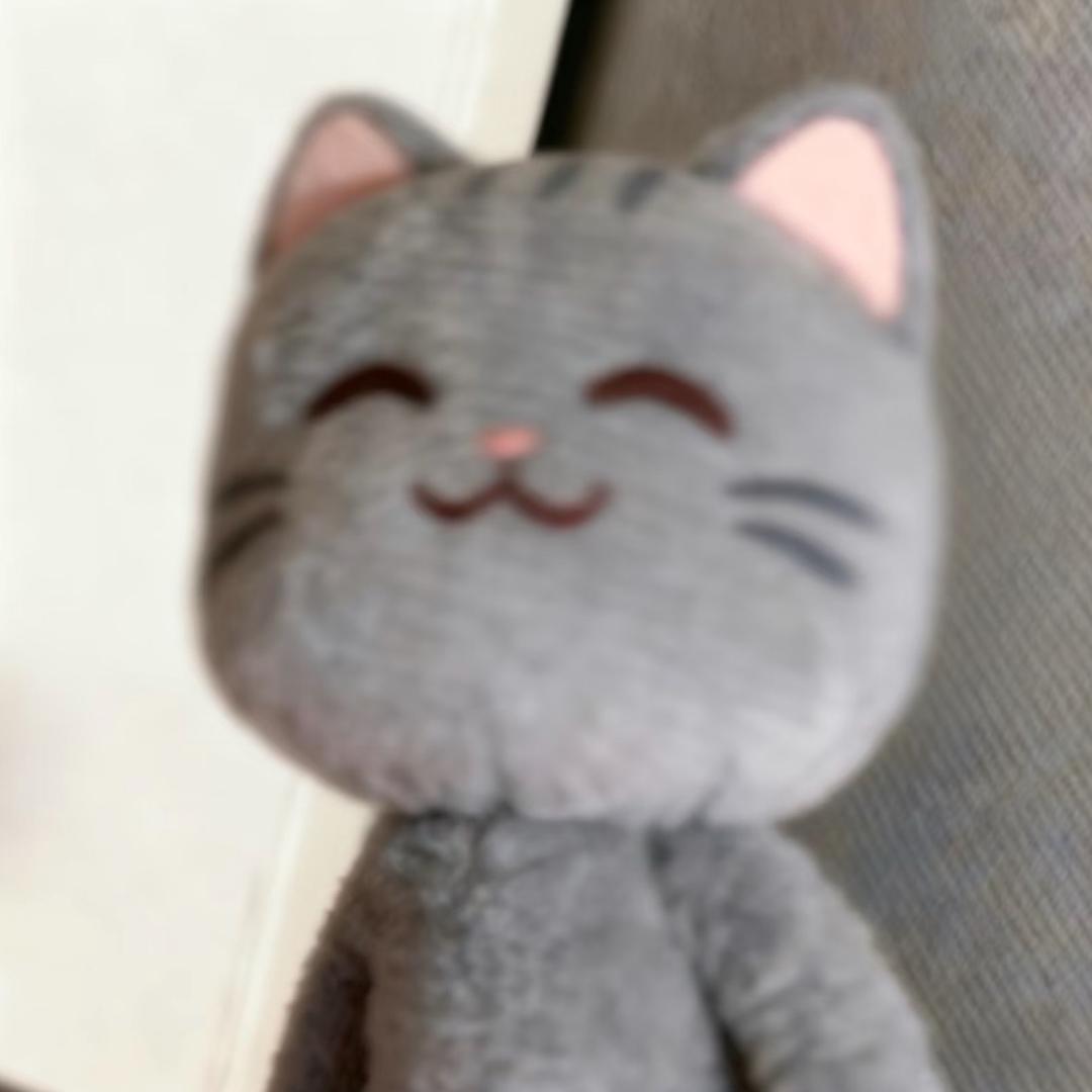 我是一只咩咩猫