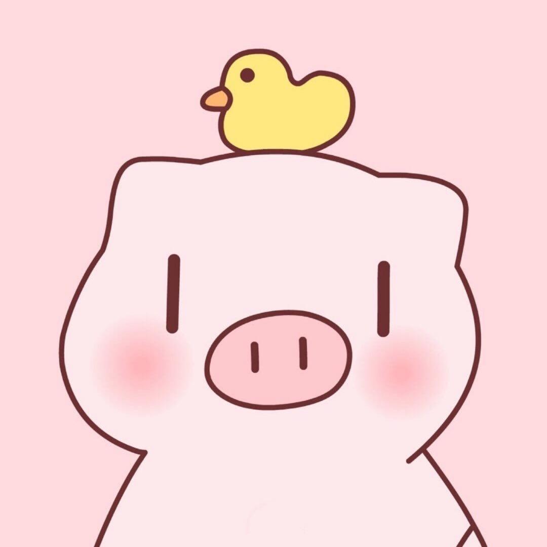 小香猪零食铺🐷