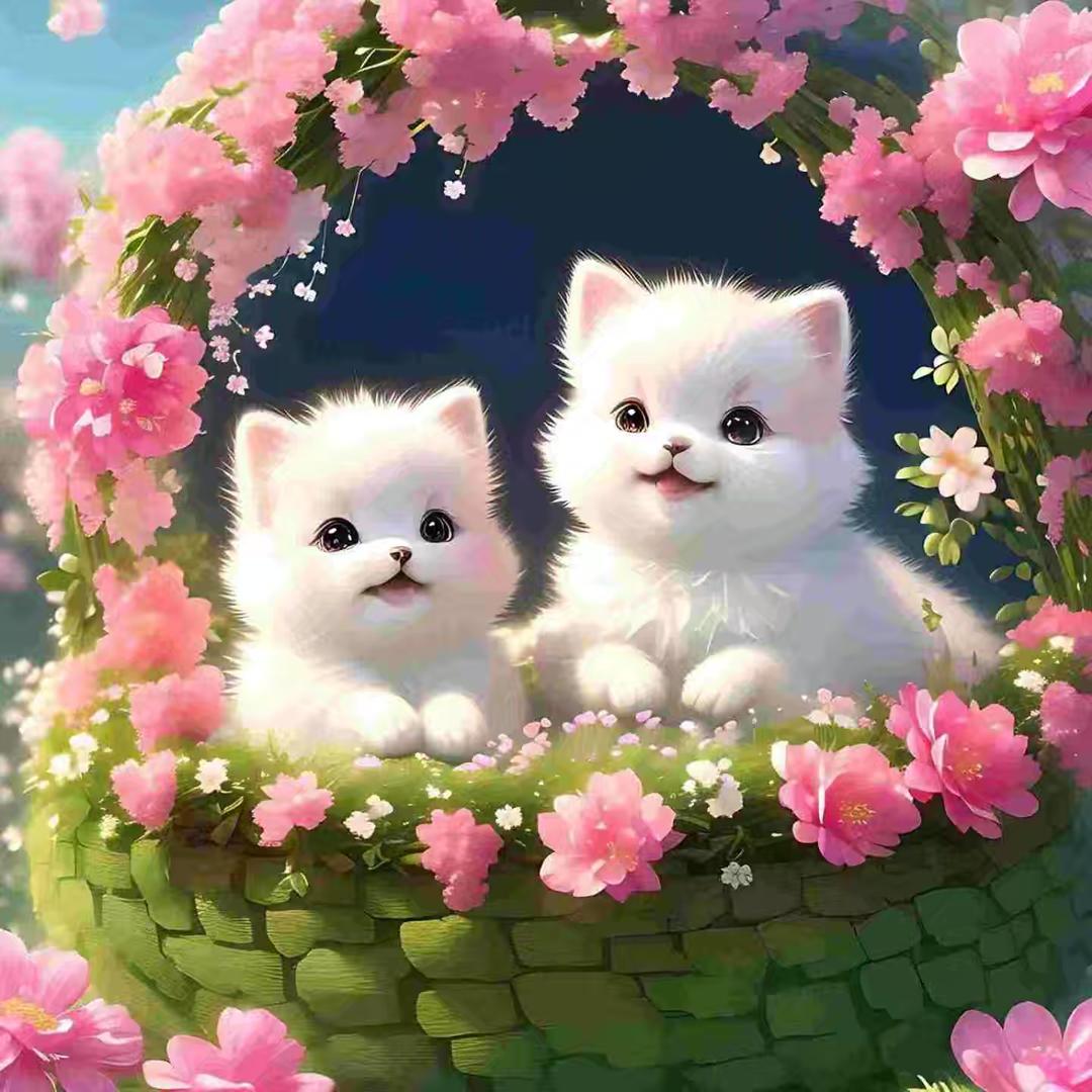 🌿💕美好时光