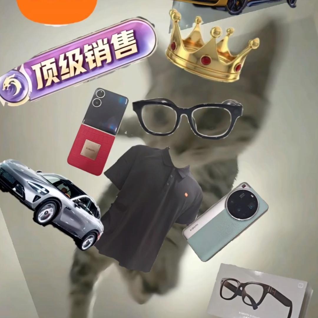 猫猫婧