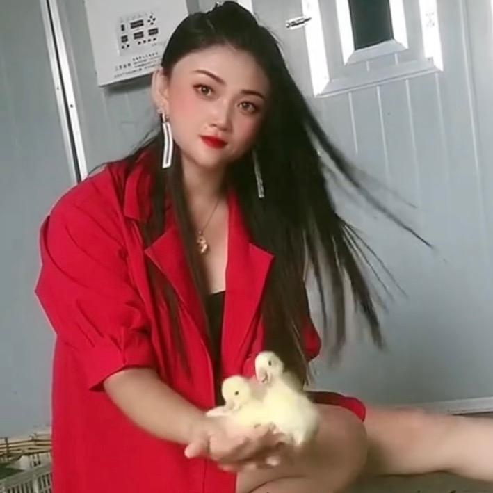 海口美兰清音燕宠物店（个体工商户）