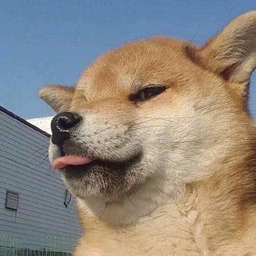 陈默