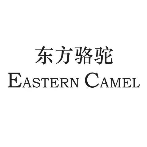 岱动森森森女鞋