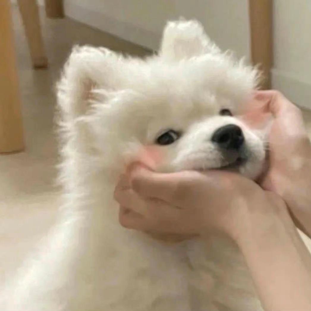 痞老板不偷配方.