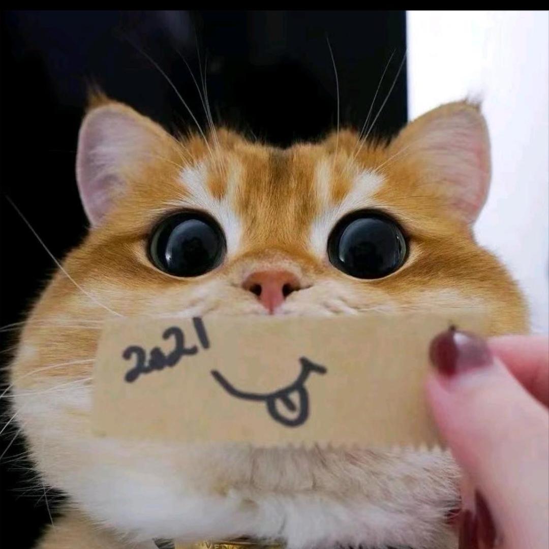 🐶