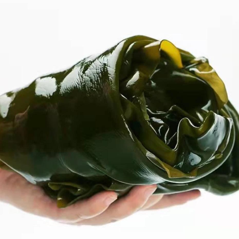 好鲜海货