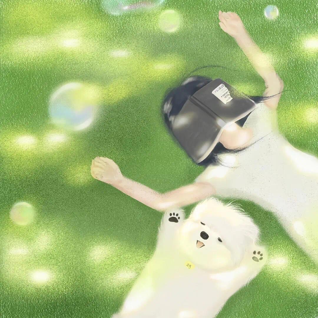 鸢也