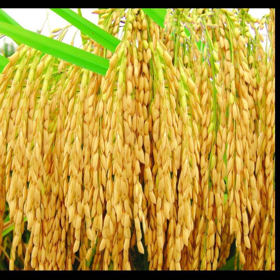 🌈心有阳光6098