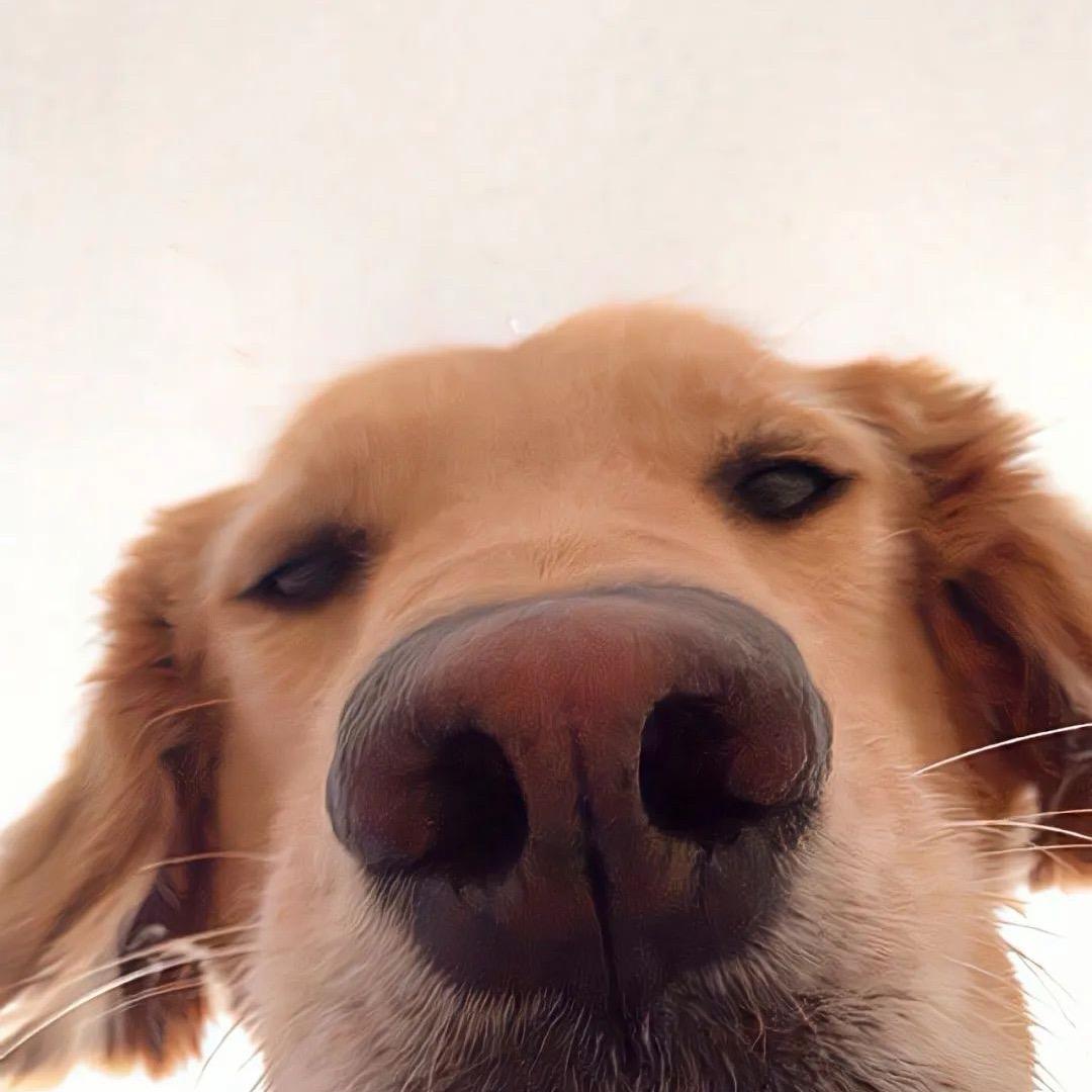 小小熊