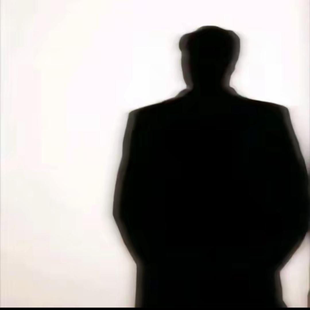 aoe衣物鱼