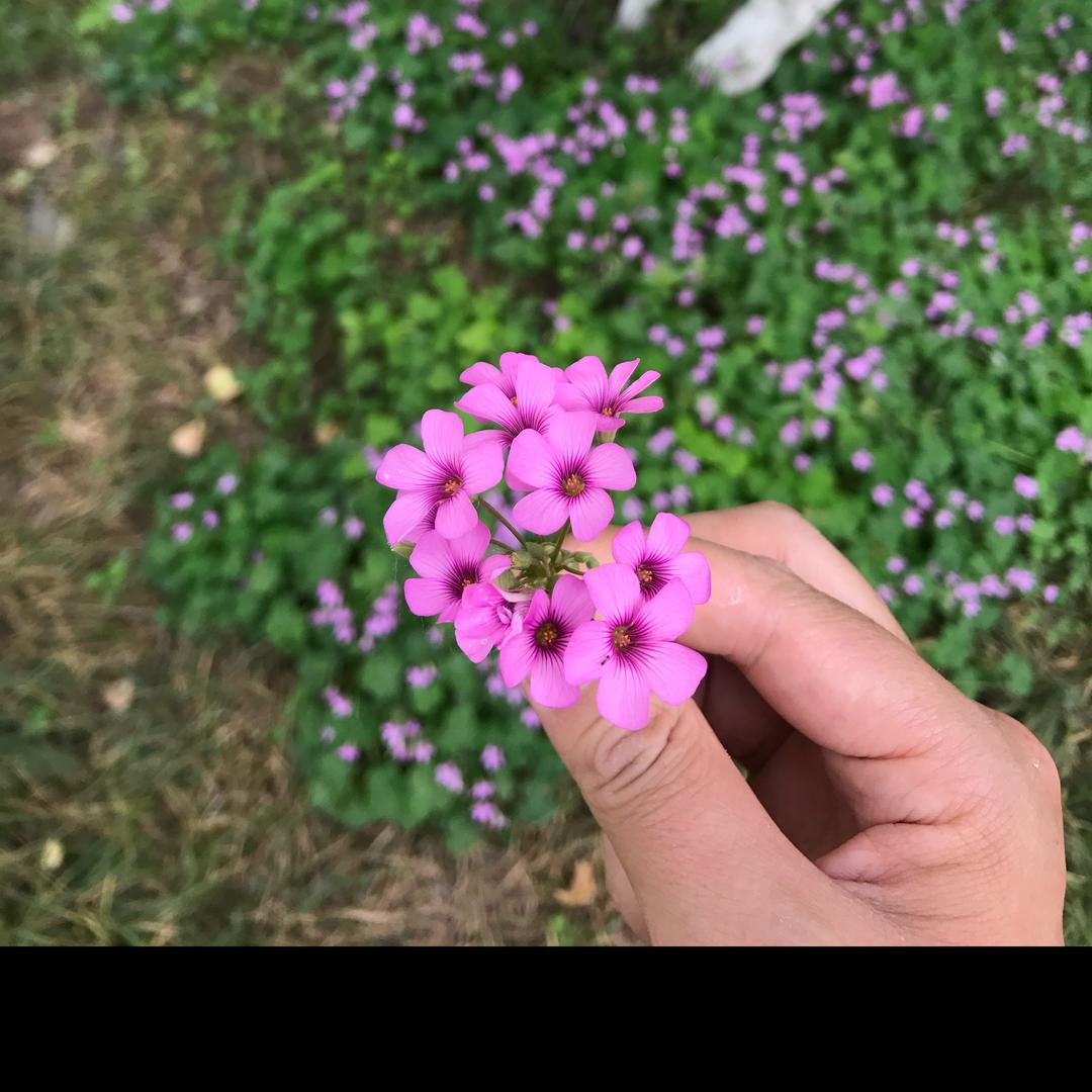 关窗户的小男孩