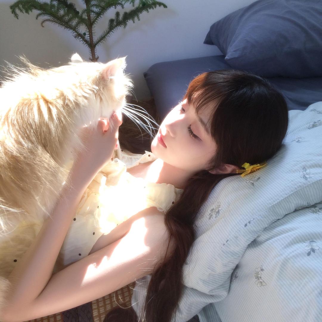 倾倾