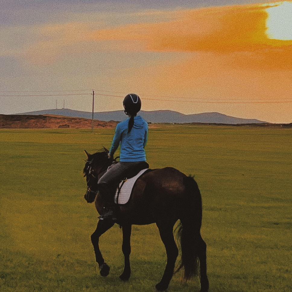 🐎菇凉