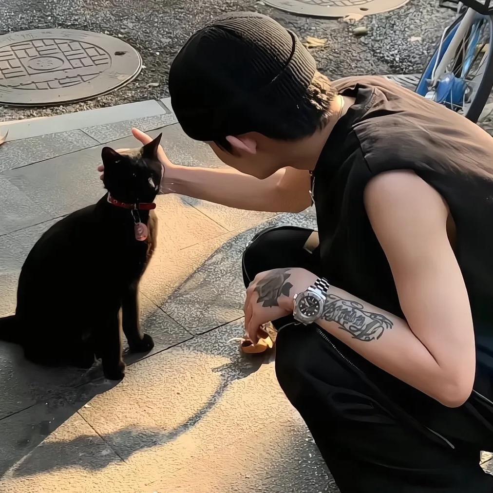 你的猫不爱我