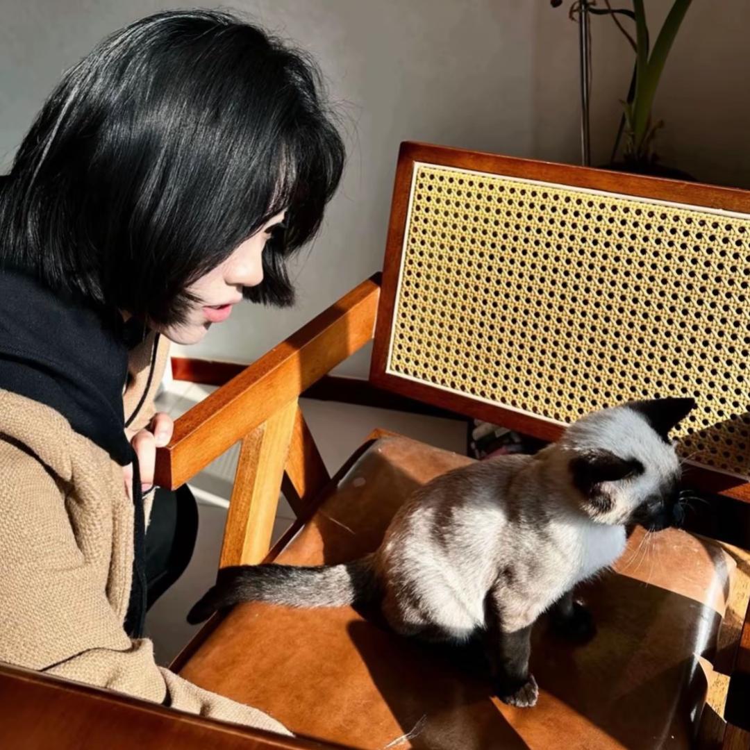 追着菠萝包跑的大蛋挞