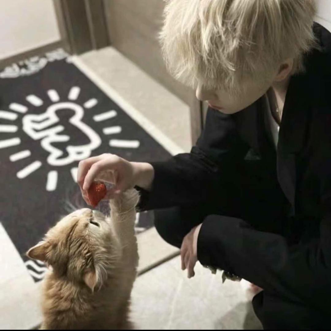 小鱼小鱼快快游