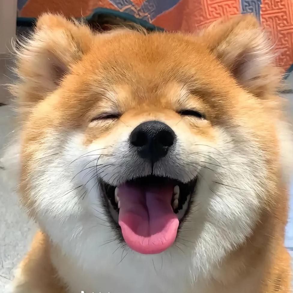 爱吃鸡阳哥