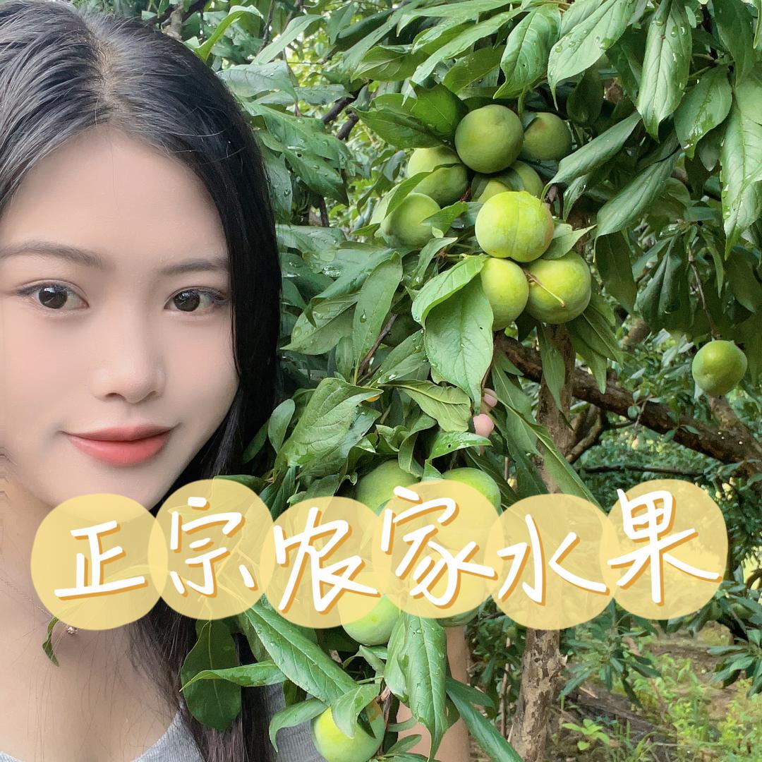 小妹儿-果三代