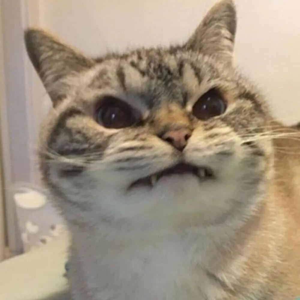 期待爱