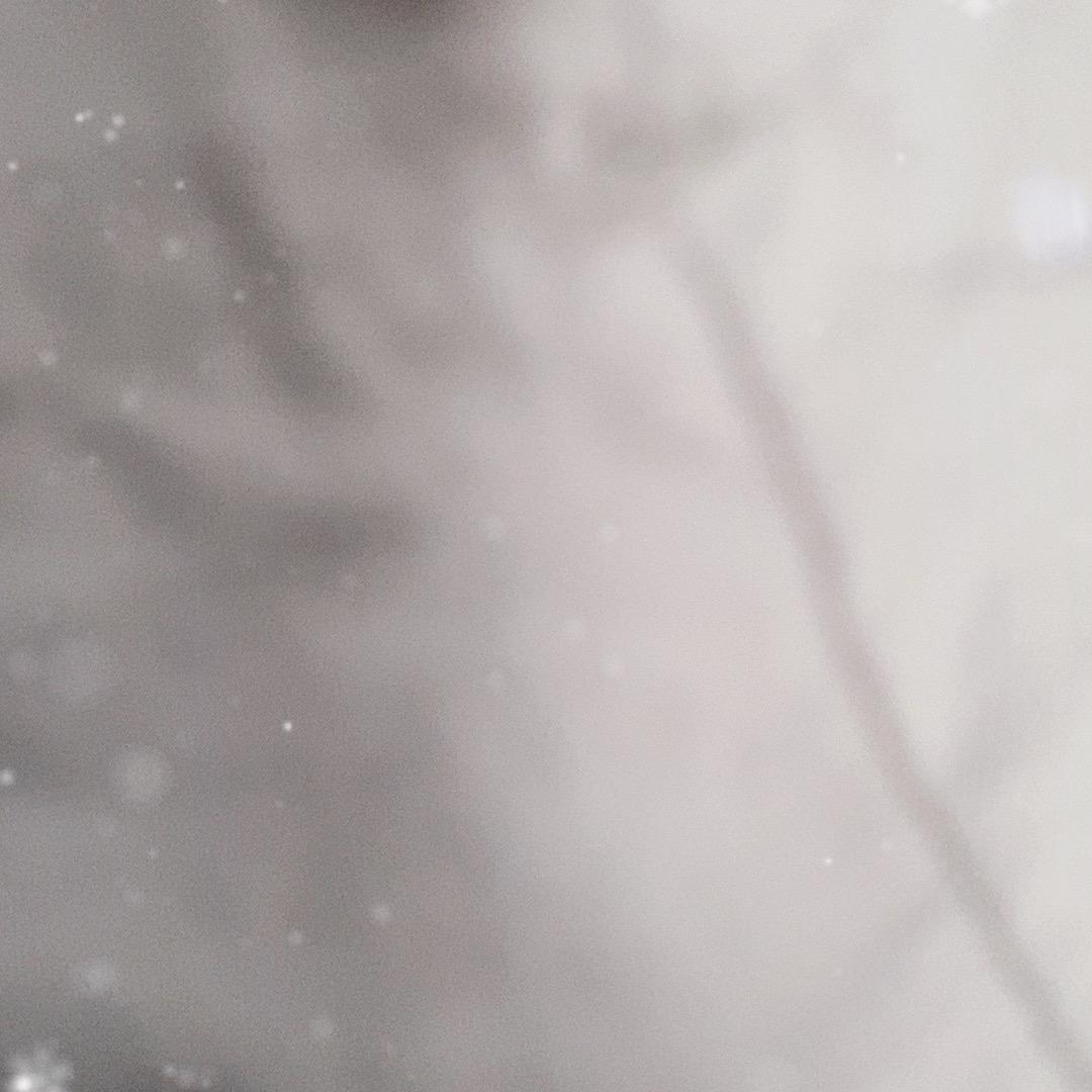 阳阳