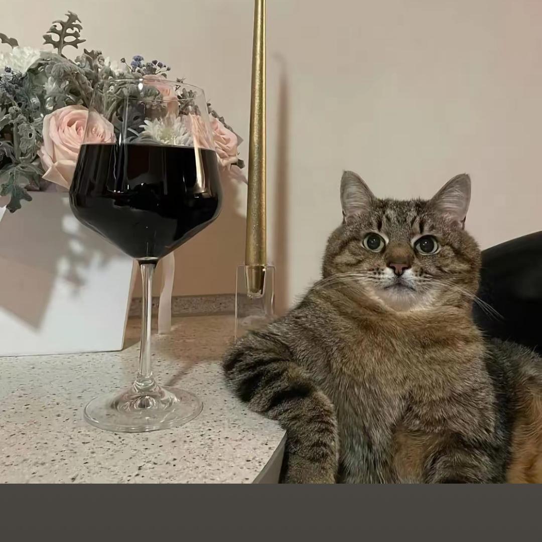 饺子今晚有空吗