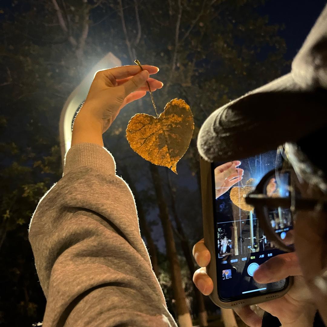 半颗橙子🍊