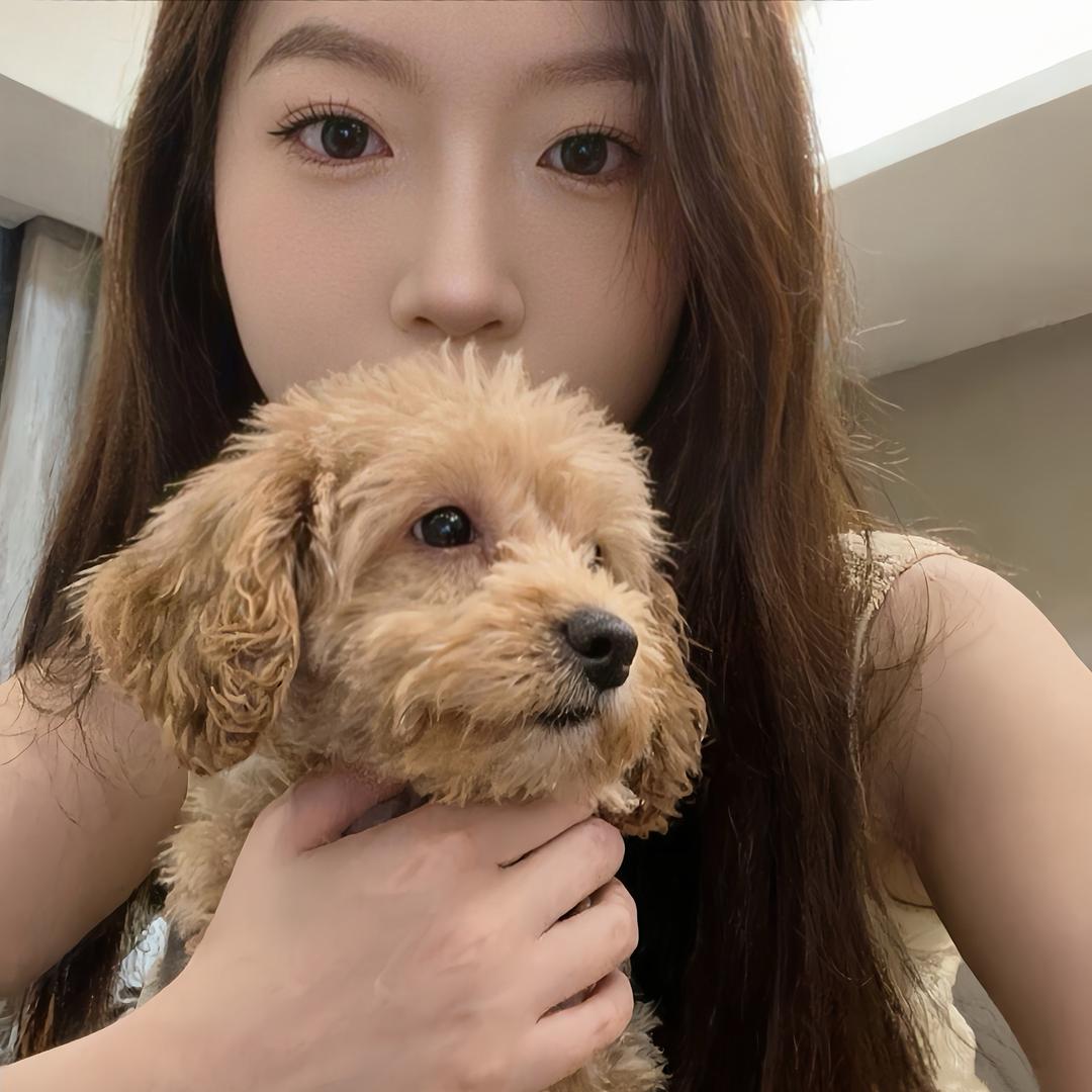 Miss姚ㅤㅤ
