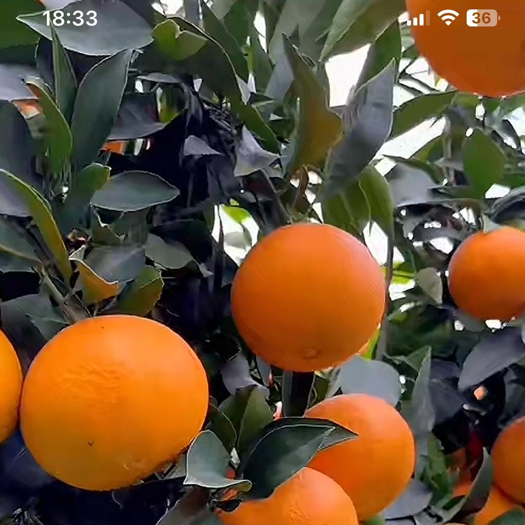 M•农产品严选百货🤝