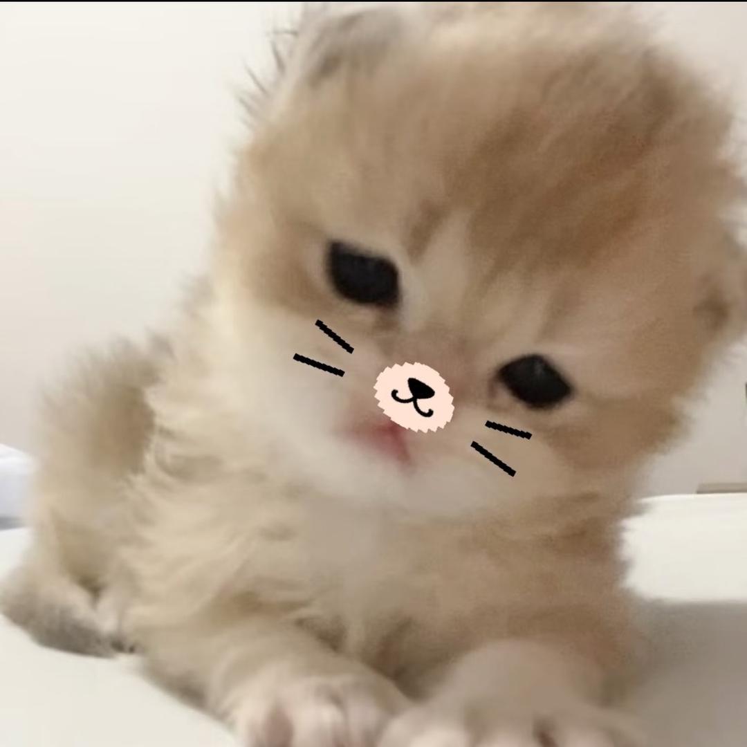 意佰芬针织