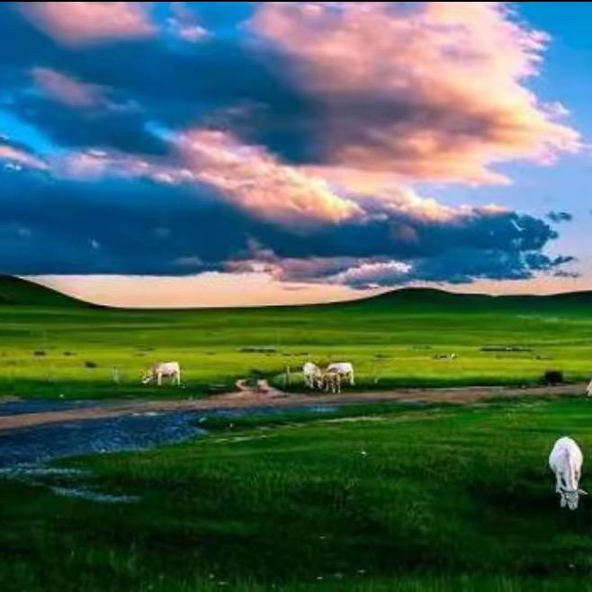内蒙特产美食🌈