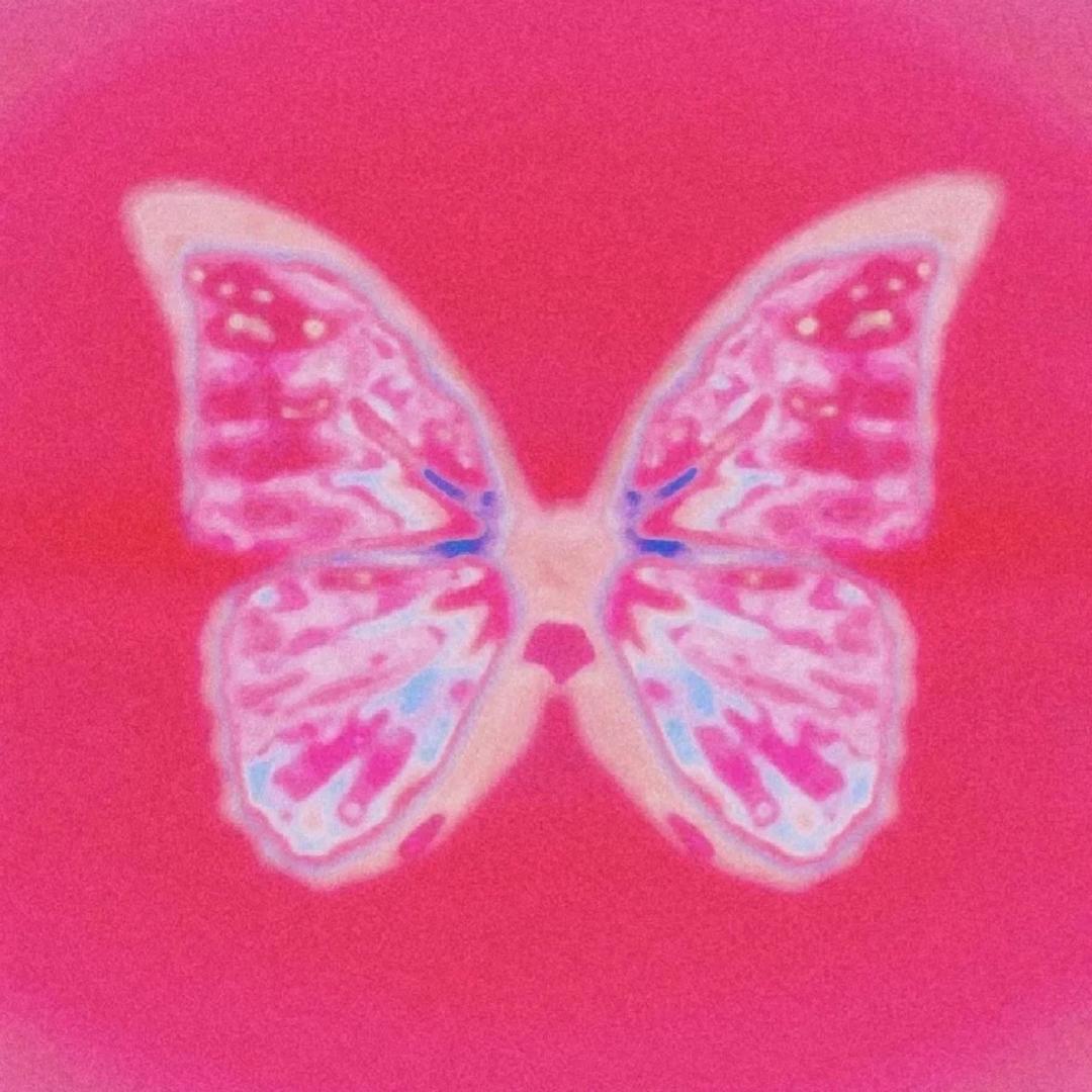 赛某