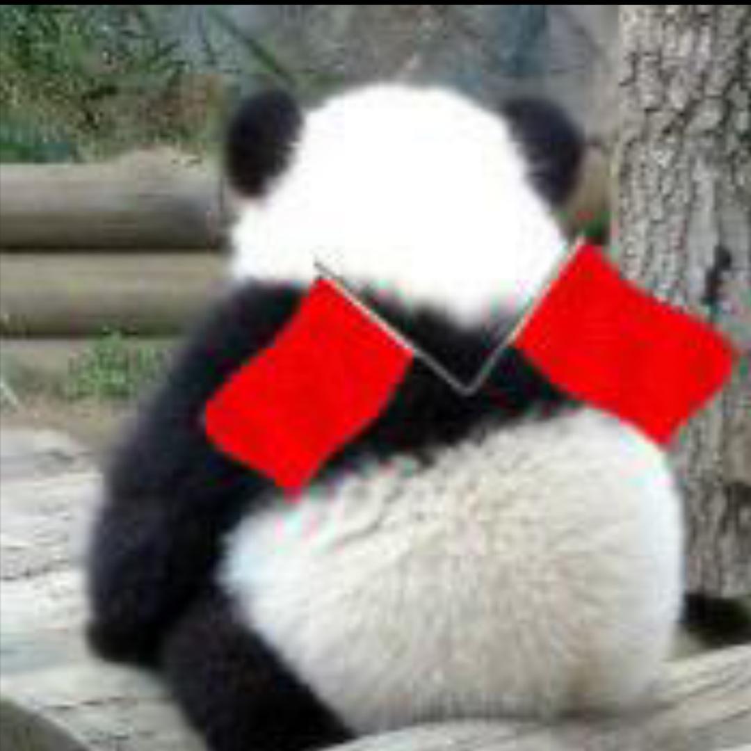 弯弯儿