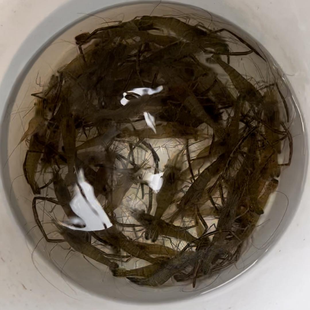 老渔民🐟