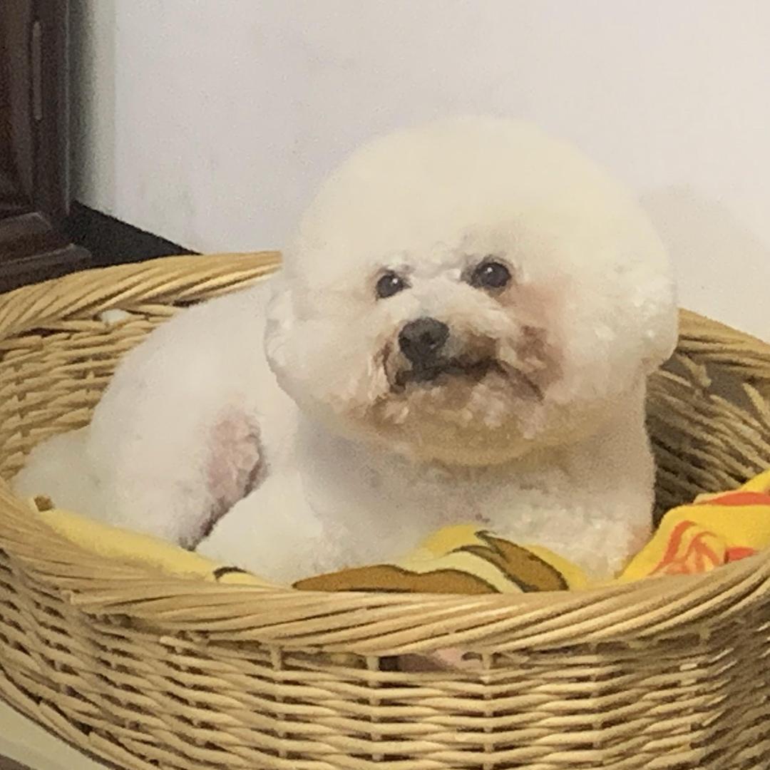三家姐搞边科