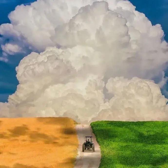 歡喜·四季花园