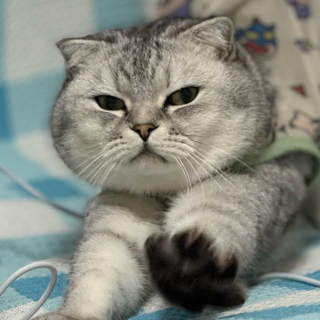 波力海苔（撸铁版）