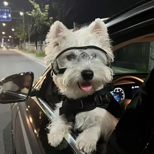 取名叫做忍