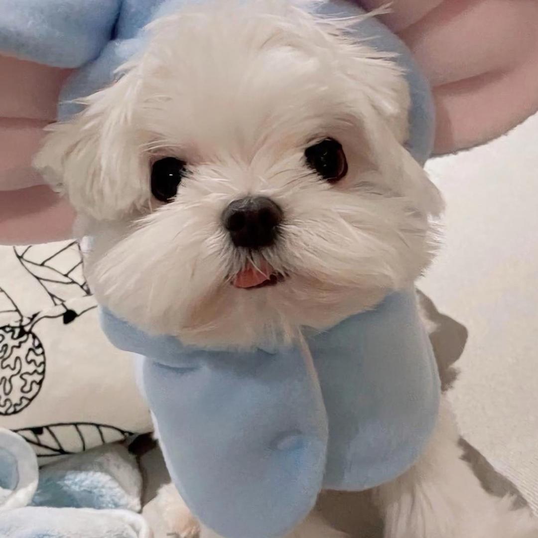 小宁宁啊