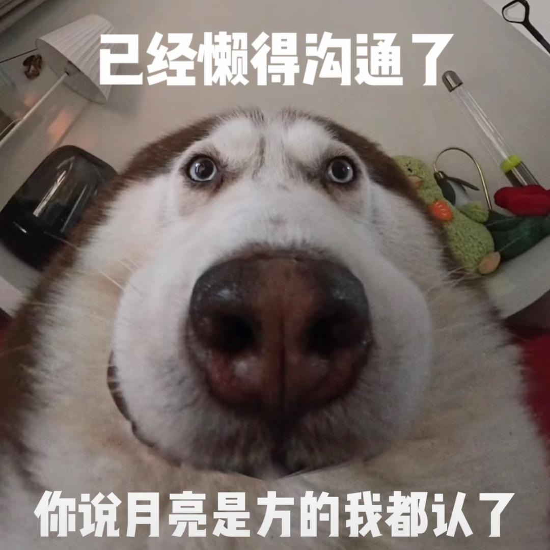 破防的牛马🐮🐎