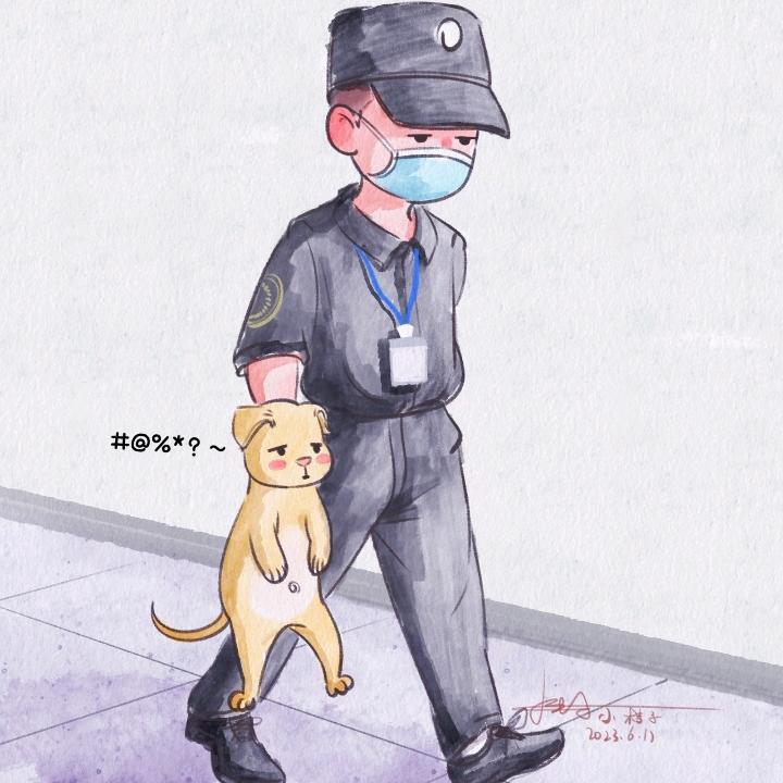 郎溪流浪狗