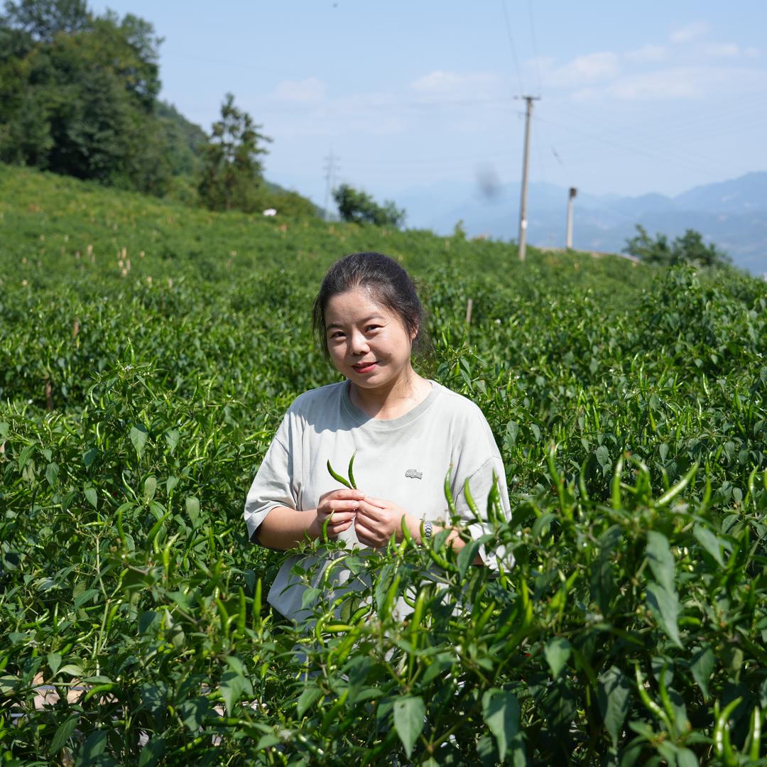 雾都女酱（小女子）
