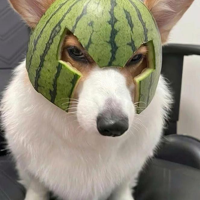 ￴￴  ￴ ￴ ￴￴￴